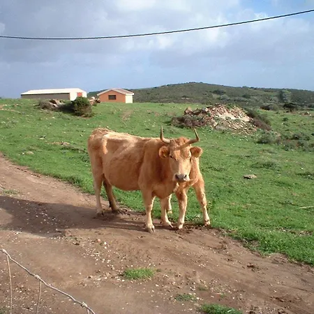 בית חווה Depalmas *