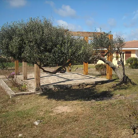 Depalmas *