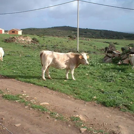 Depalmas Farm stay *
