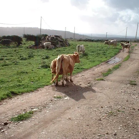 Depalmas Feriegård Stintino