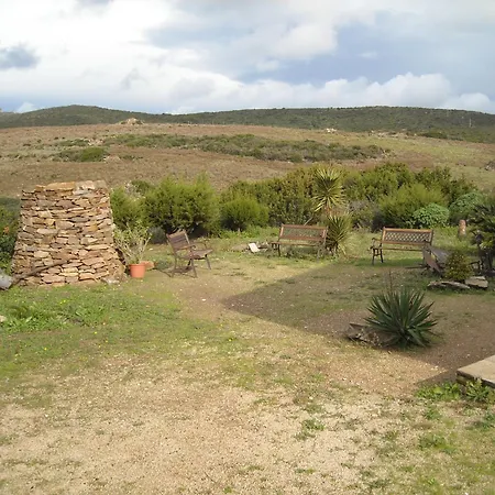 Depalmas *