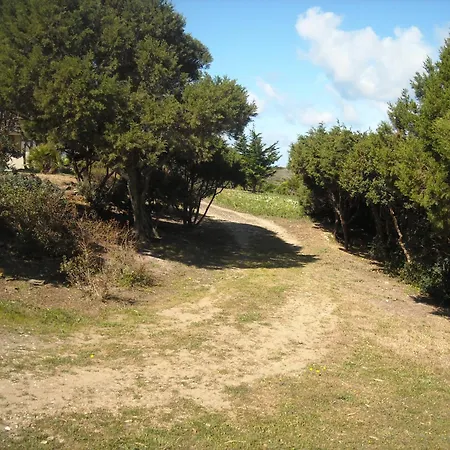 Depalmas Feriegård Stintino