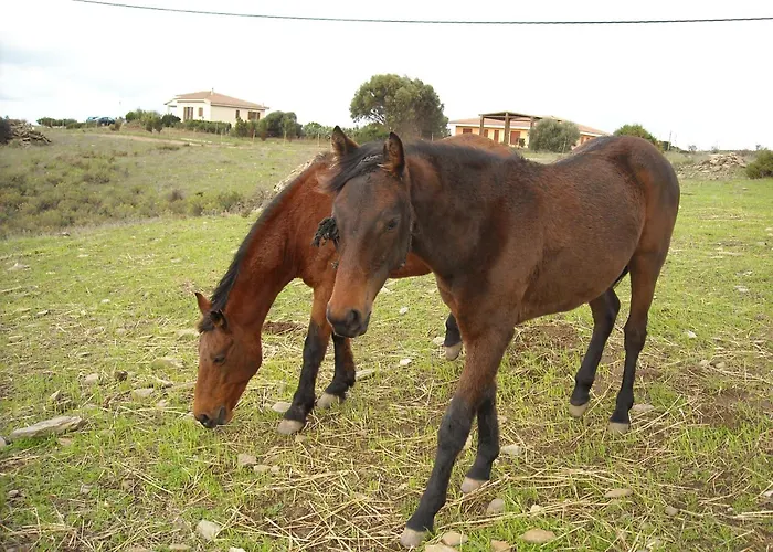 Depalmas Agroturismo