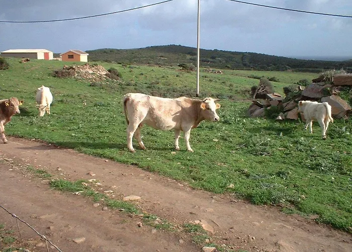 Depalmas Agroturismo *