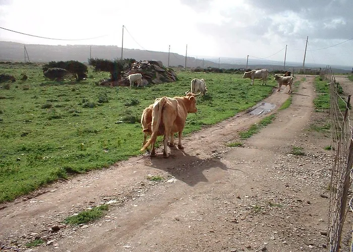 Depalmas Agroturismo Stintino