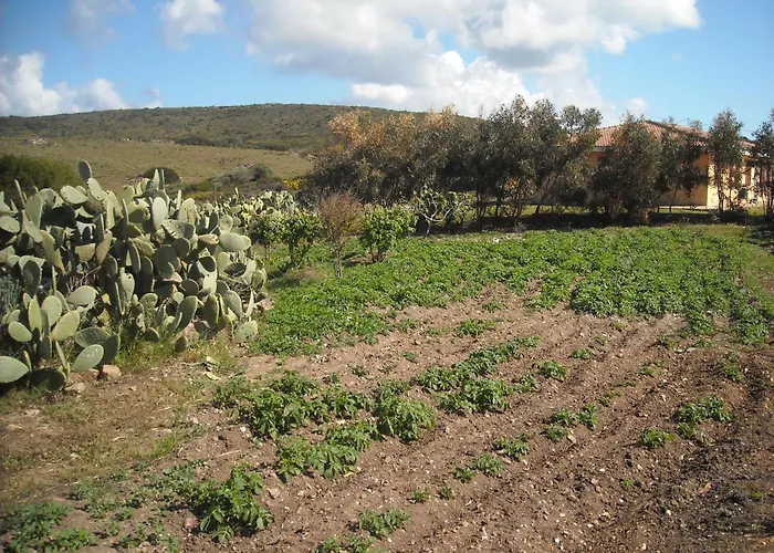 Agroturismo Depalmas Stintino